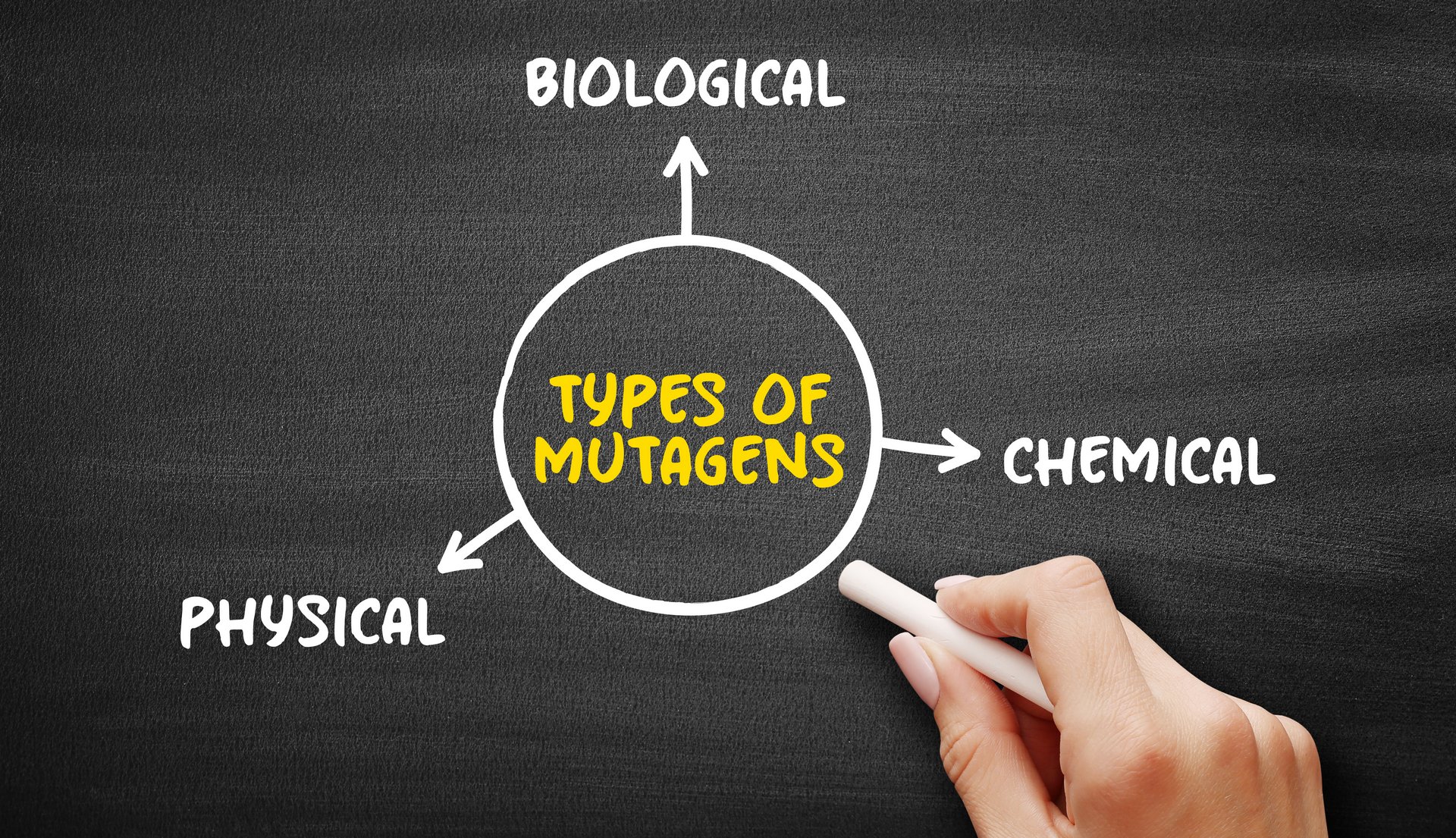 Causes of mutations. Illustration copyrighted.  Licensed: DP